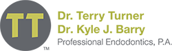 Link to Professional Endodontics home page